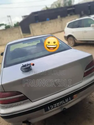 Peugeot 406 2002 Gris