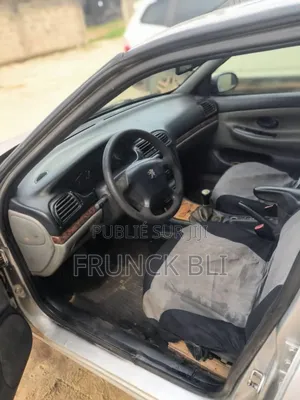 Peugeot 406 2002 Gris