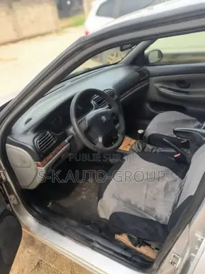 Peugeot 406 2002 Gris