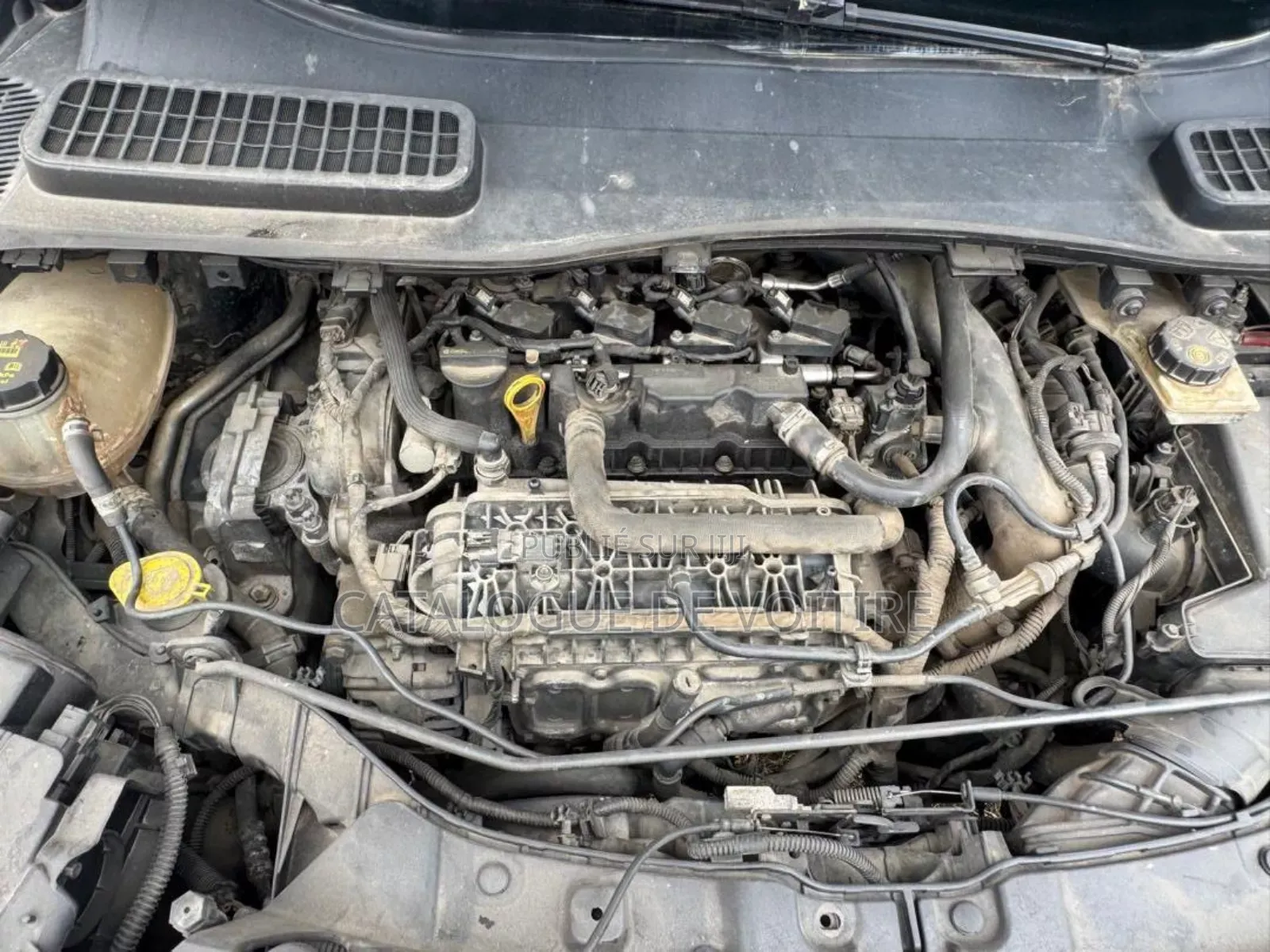 Ford Escape 2018 Gris