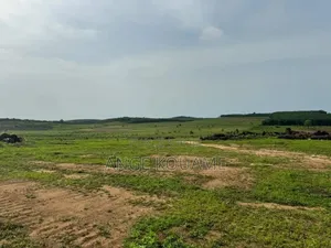 Terrain 500m2 Avec Acd