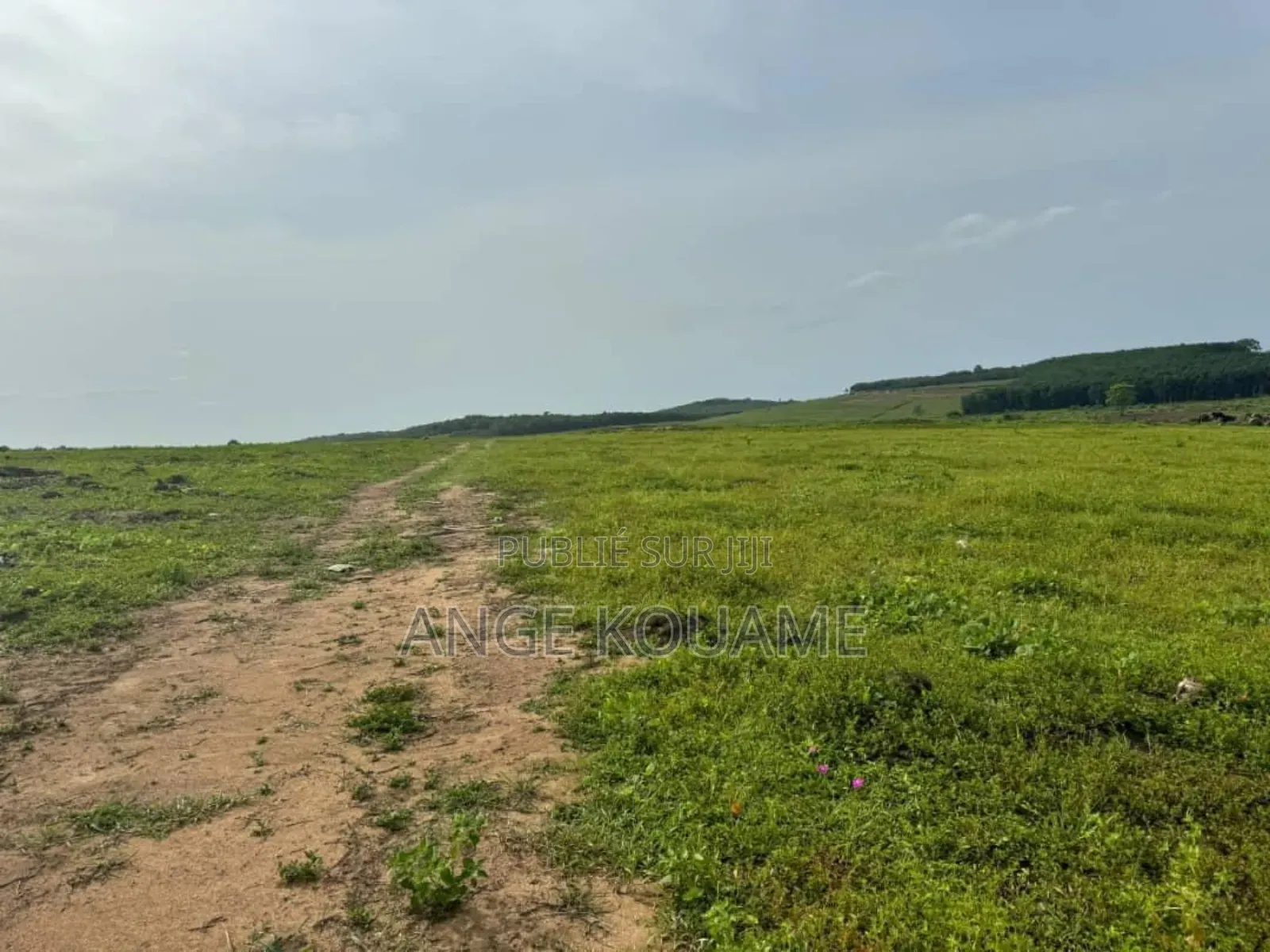 Terrain 500m2 Avec Acd