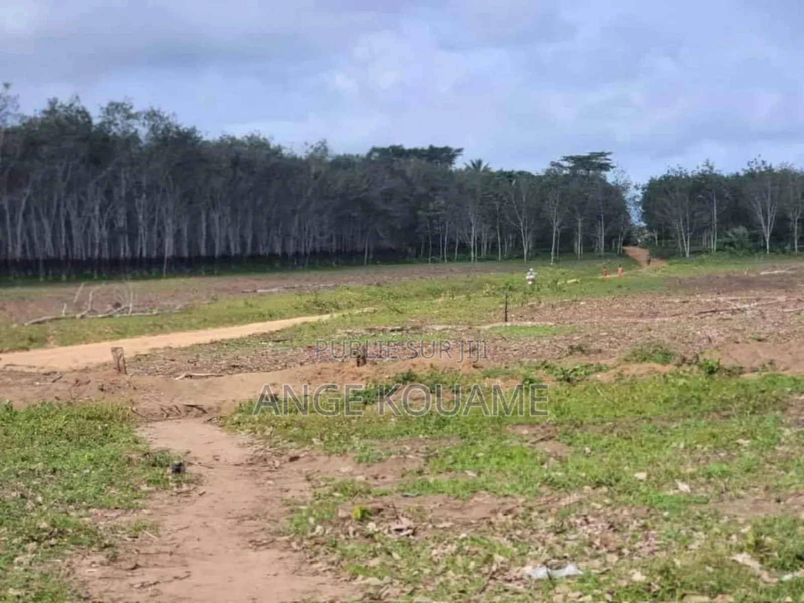 Terrain 500m2 Avec Acd