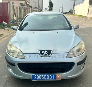 Peugeot 407 2001 Gris