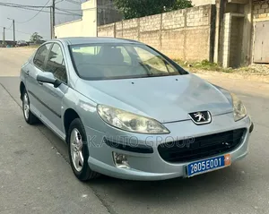 Peugeot 407 2001 Gris