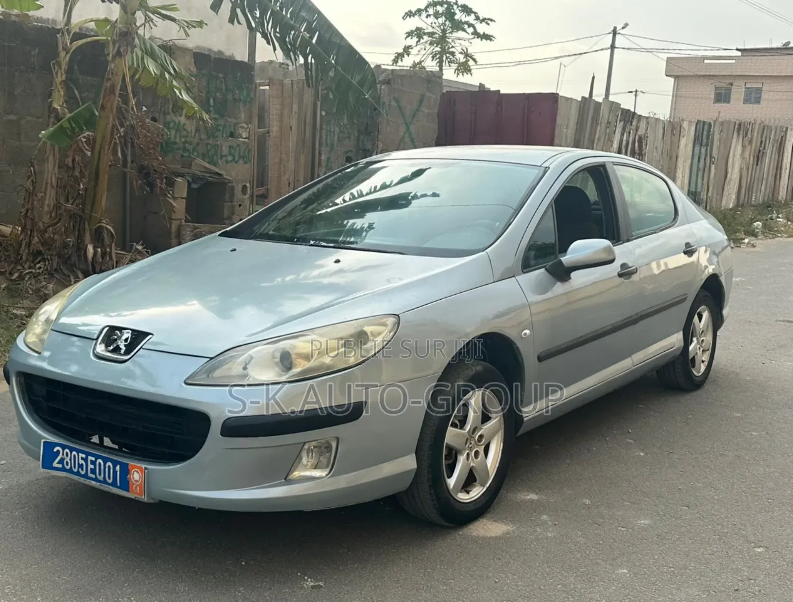 Peugeot 407 2001 Gris