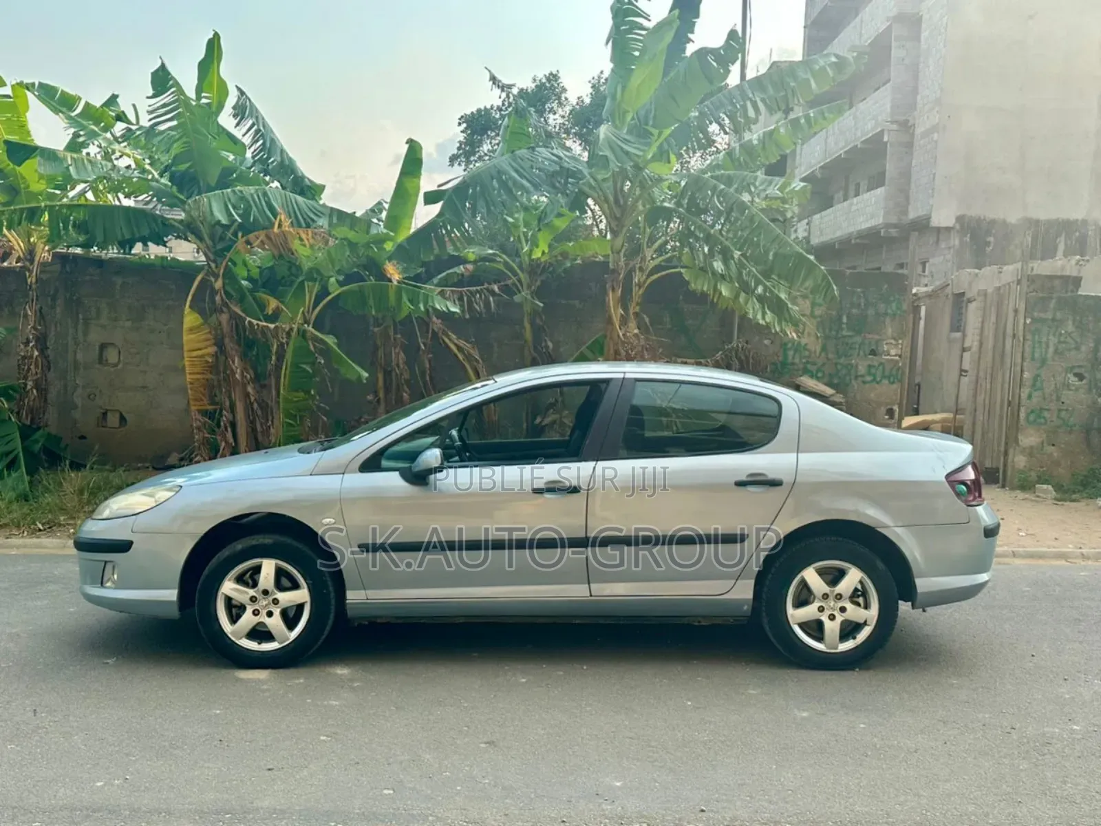 Peugeot 407 2001 Gris