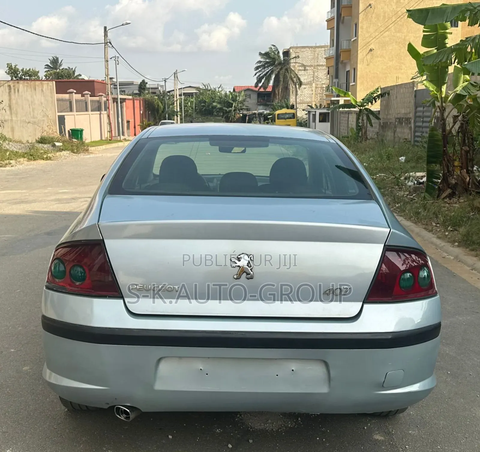Peugeot 407 2001 Gris