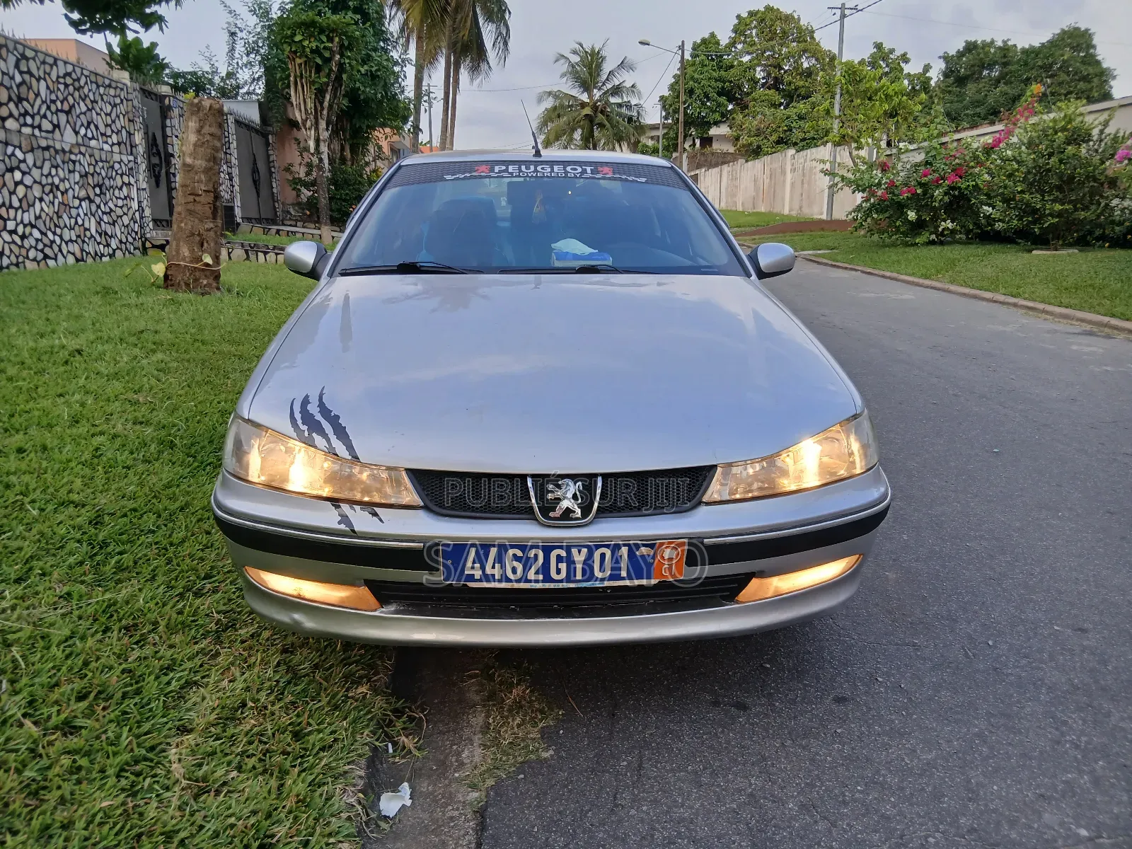 Peugeot 406 2002 Gris