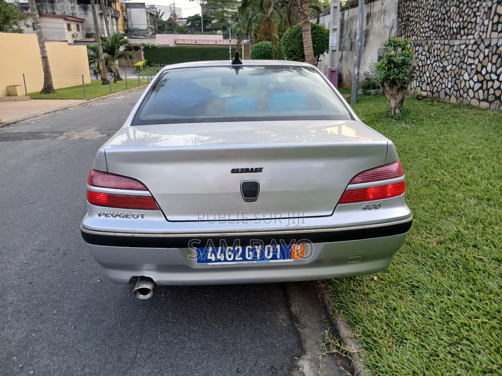 Peugeot 406 2002 Gris