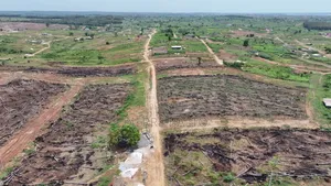 Vente De Terrain Songon