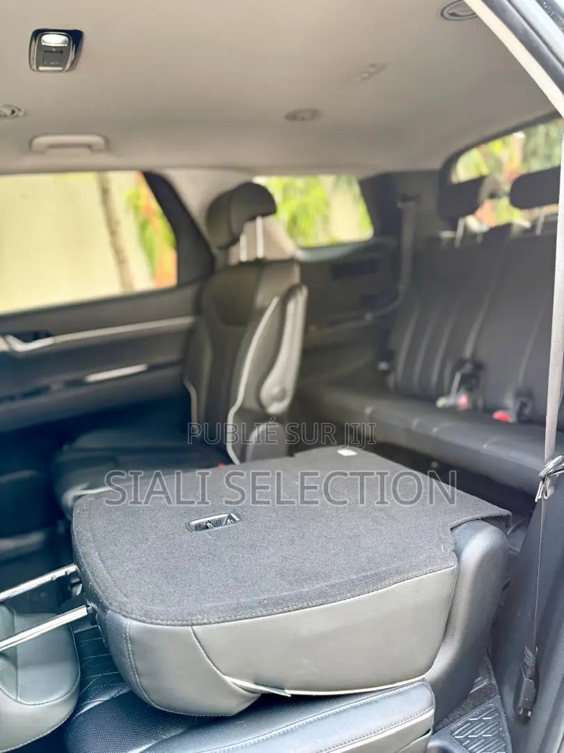 Hyundai Palissade 2022 Noir