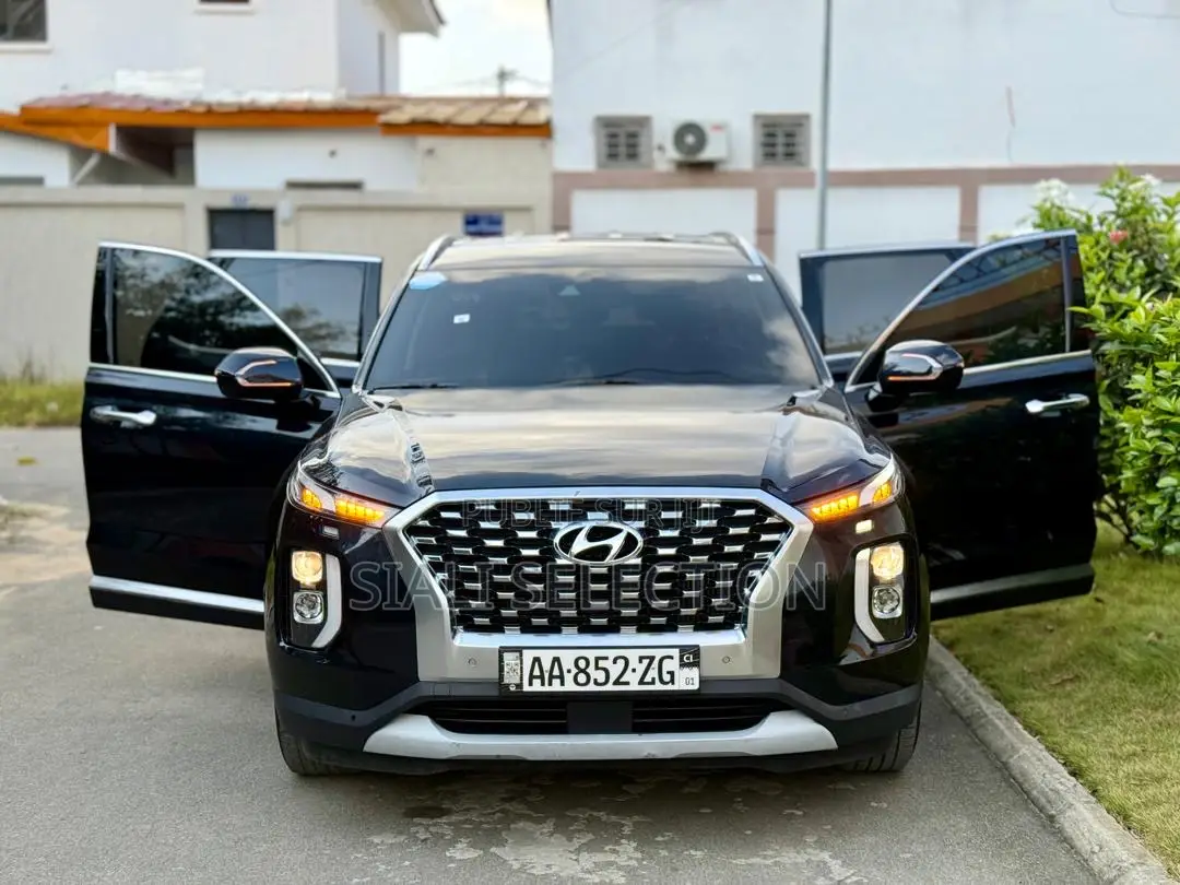 Hyundai Palissade 2022 Noir