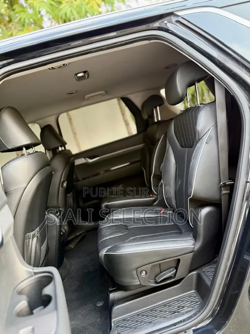 Hyundai Palissade 2022 Noir