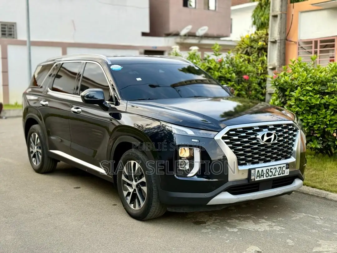 Hyundai Palissade 2022 Noir