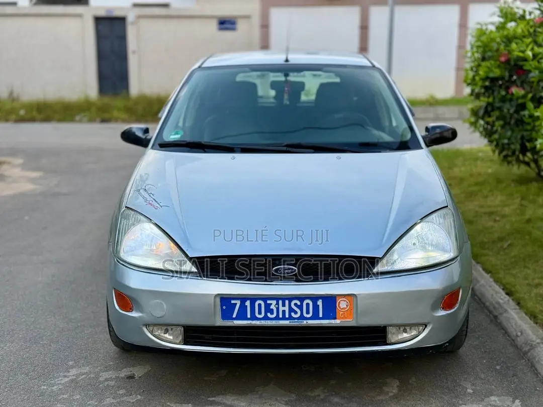Ford Focus 2005 Gris
