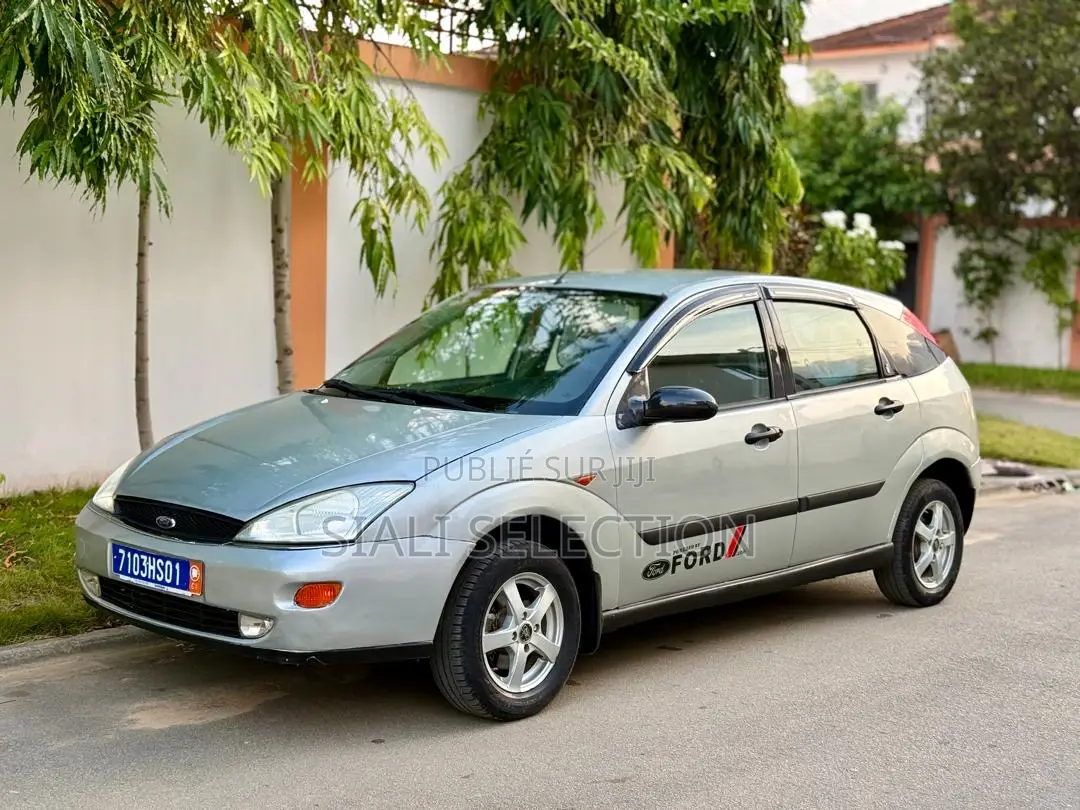 Ford Focus 2005 Gris