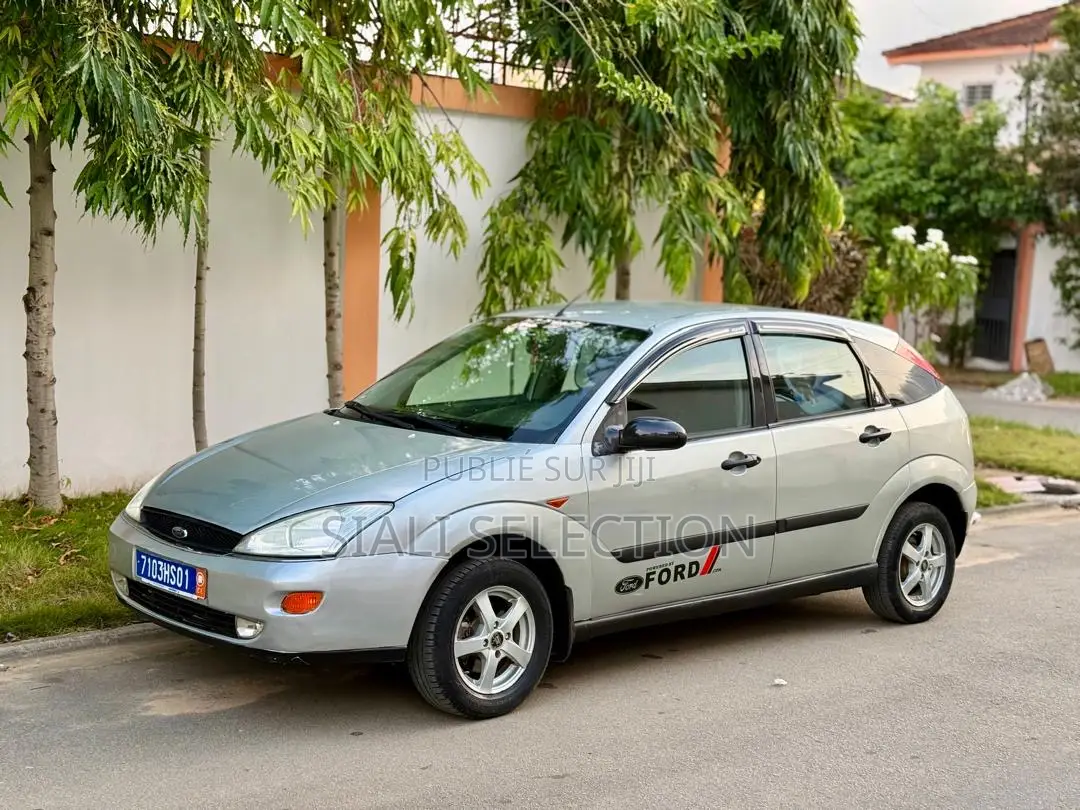 Ford Focus 2005 Gris