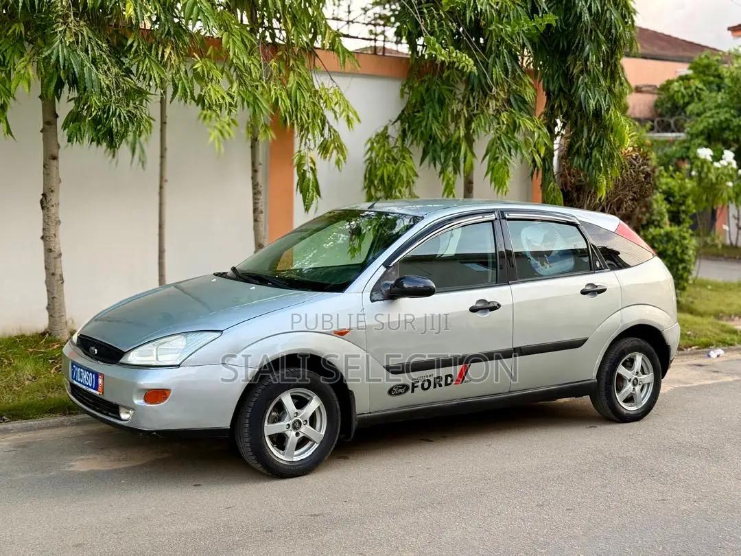 Ford Focus 2005 Gris