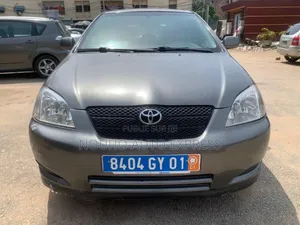 Toyota Corolla 2003 Gris