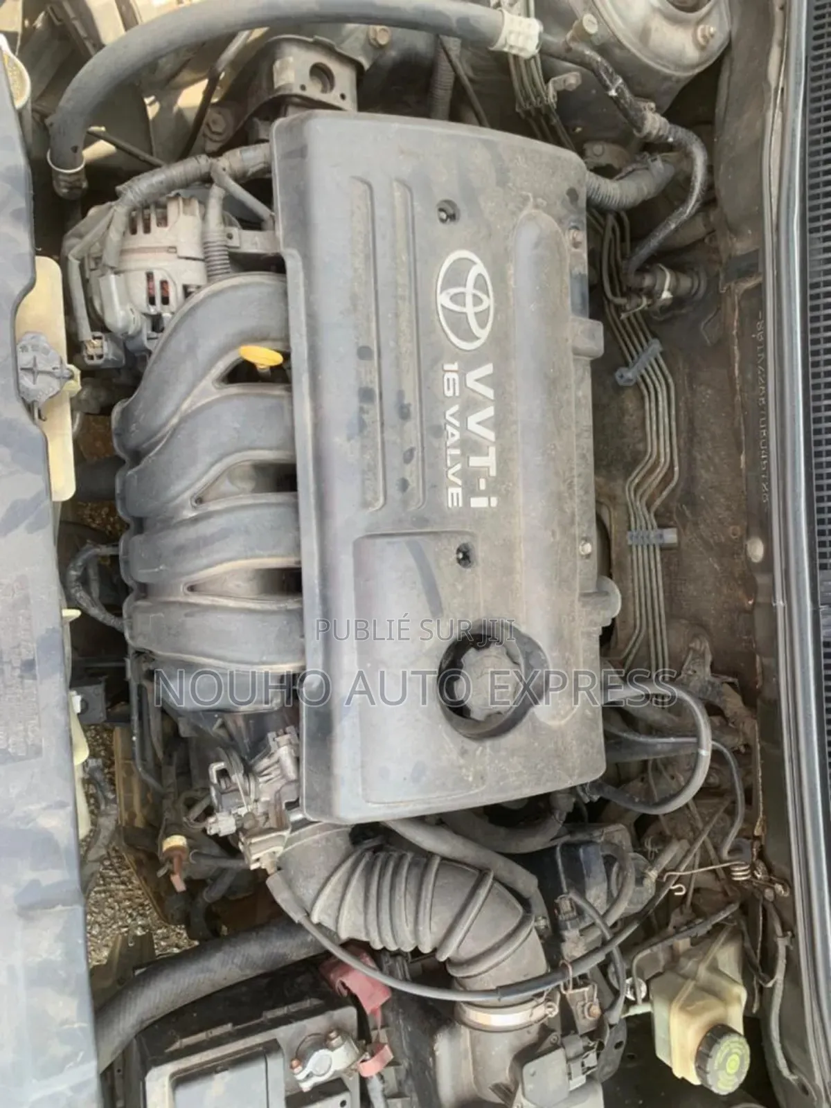 Toyota Corolla 2003 Gris