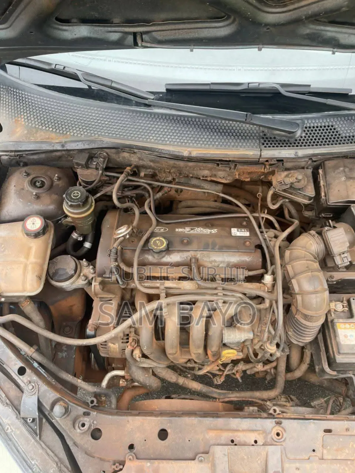 Ford Focus 2000 Gris