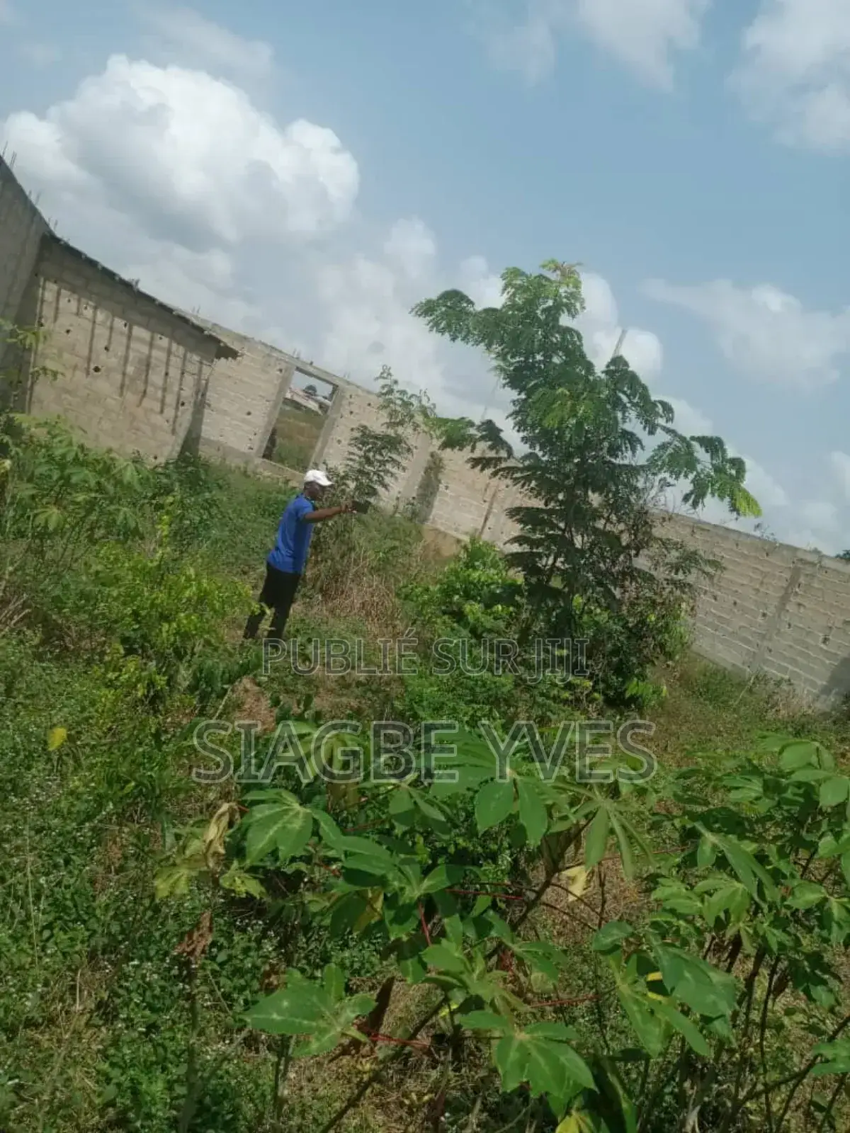 Terrain a Vendre À Songon