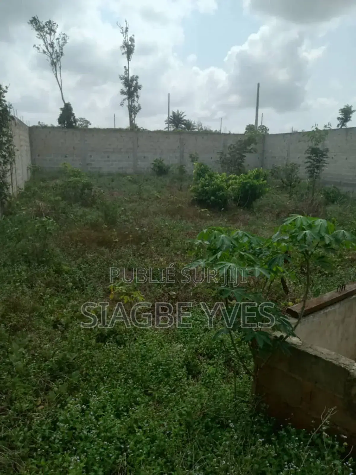 Terrain a Vendre À Songon