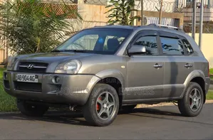 Hyundai Tucson 2006 Gris