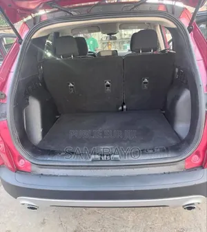 Ford Focus 2020 Bordeaux