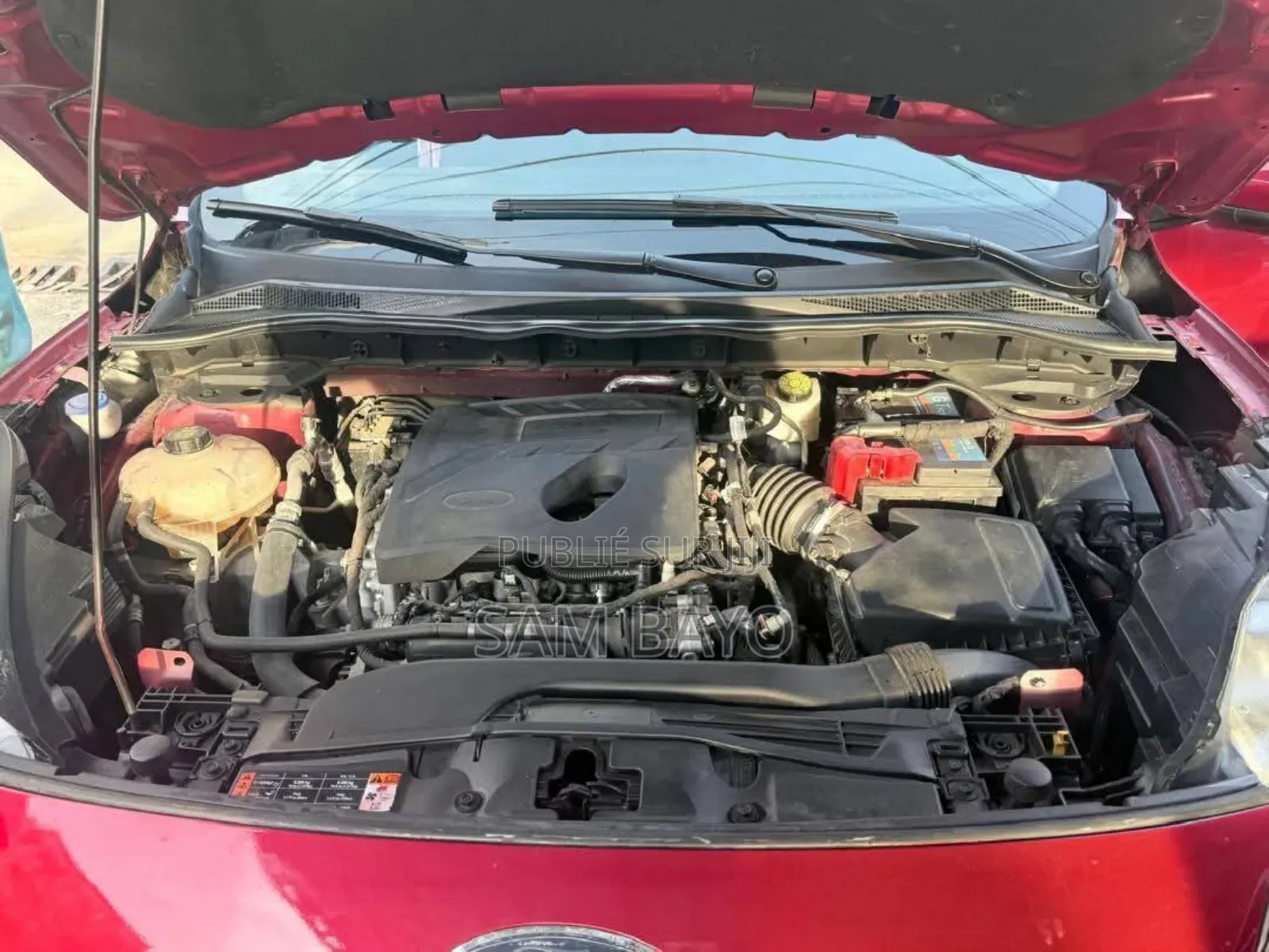 Ford Focus 2020 Bordeaux