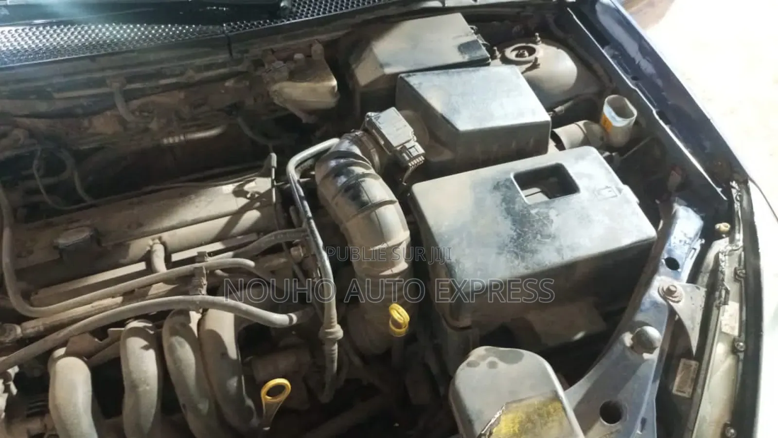 Ford Focus 2002 Bleu