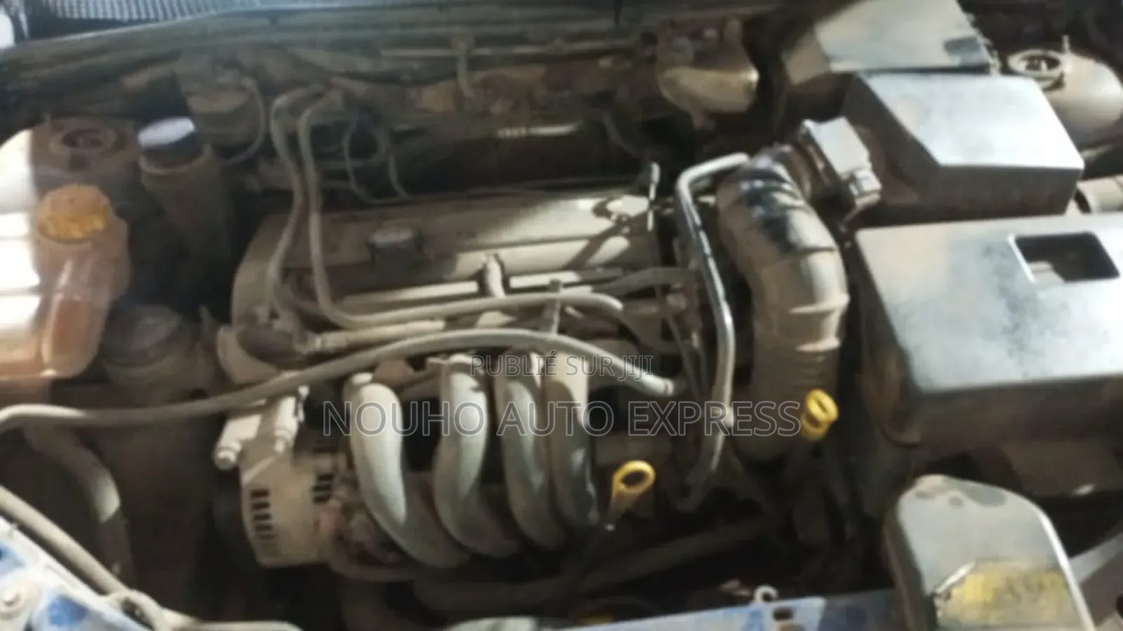 Ford Focus 2002 Bleu