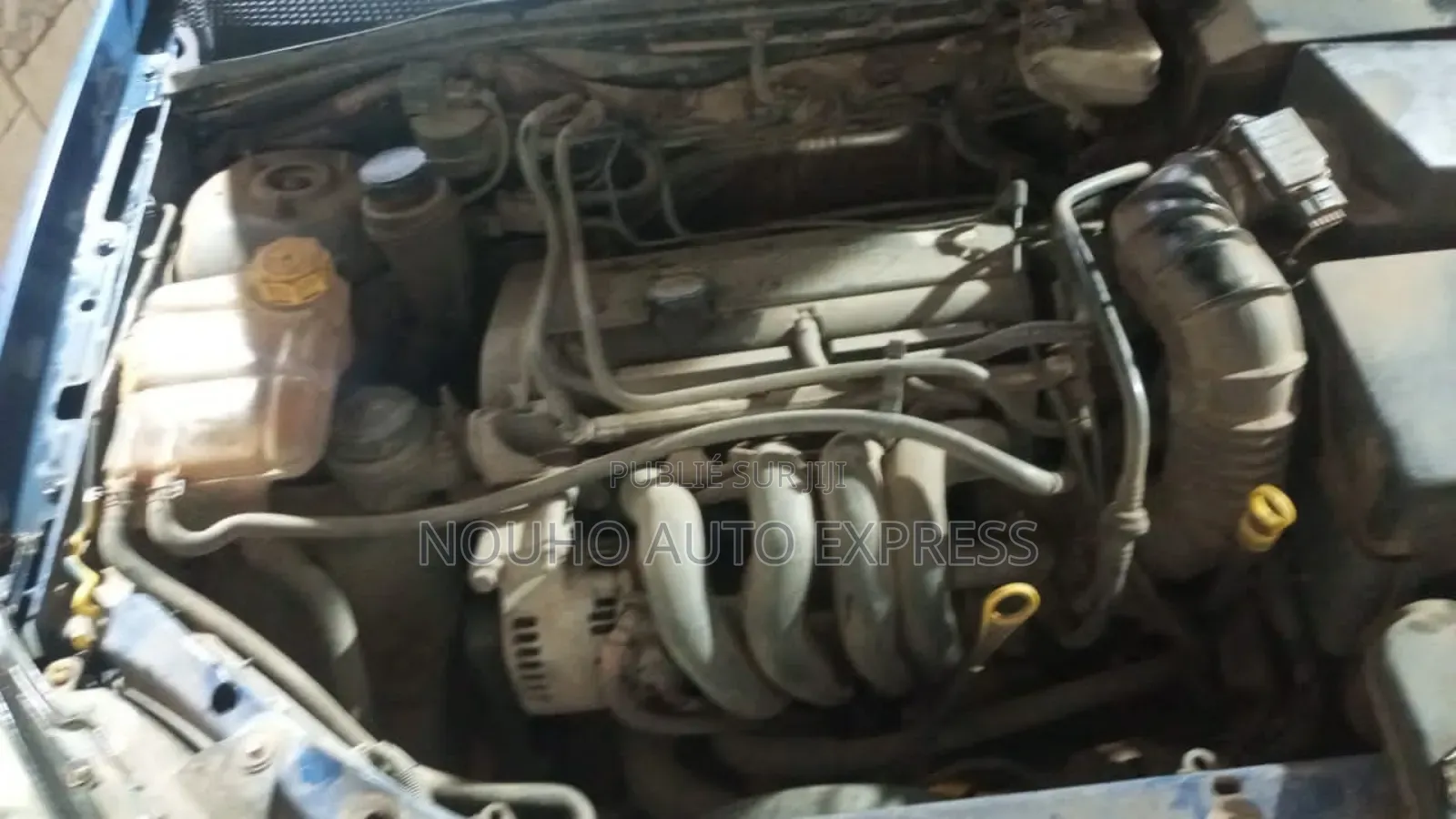 Ford Focus 2002 Bleu