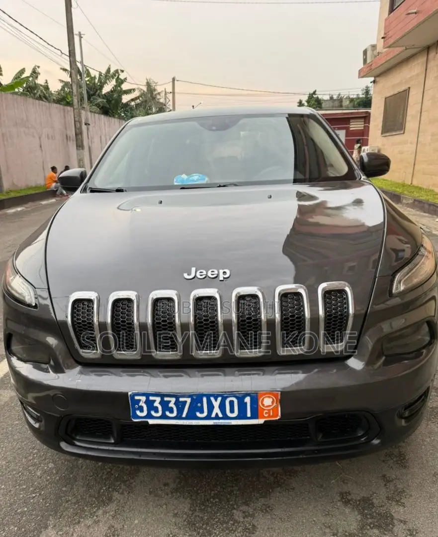Jeep Cherokee 2015 Gris