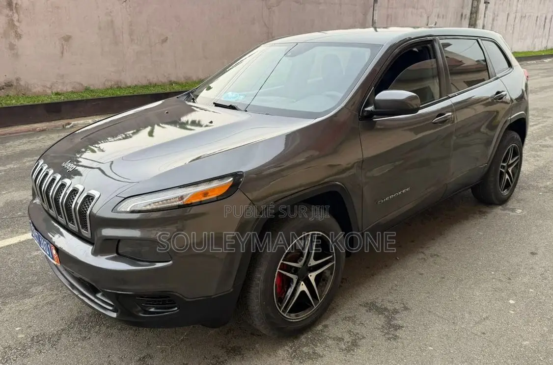 Jeep Cherokee 2015 Gris