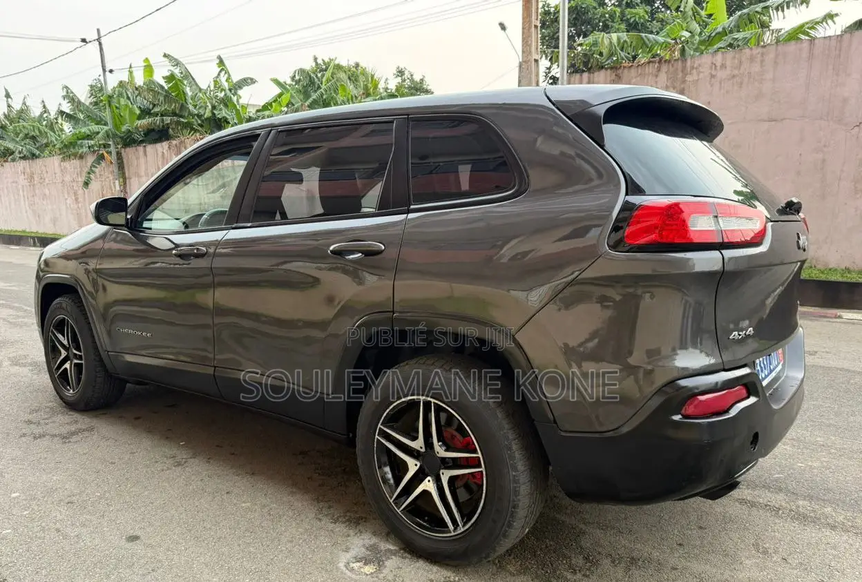 Jeep Cherokee 2015 Gris