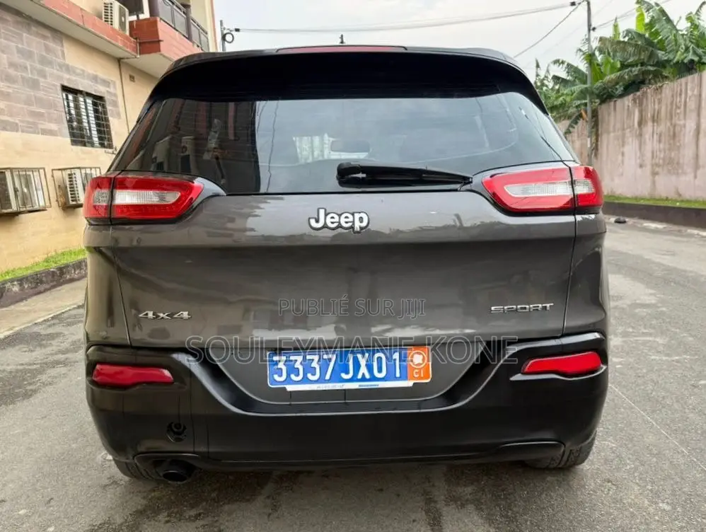 Jeep Cherokee 2015 Gris