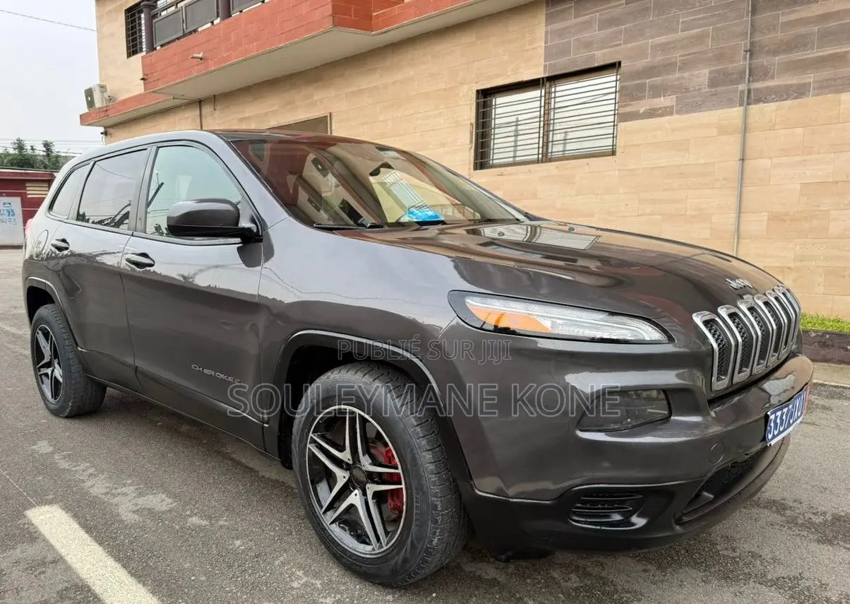 Jeep Cherokee 2015 Gris