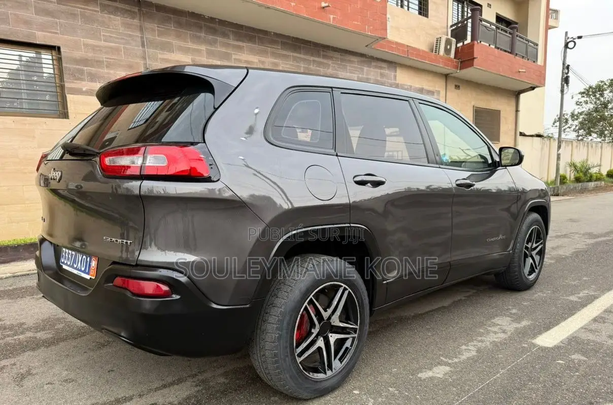 Jeep Cherokee 2015 Gris