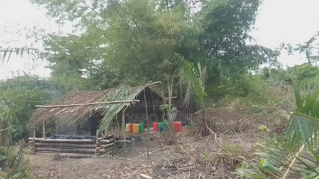 Vente Forêt Plantation À Agboville