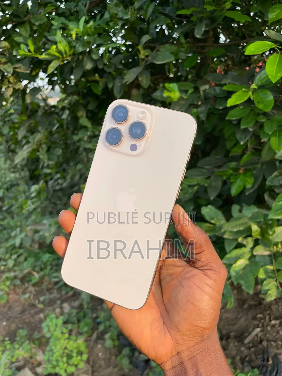 Apple iPhone 16 Pro Max 256 GB Autre