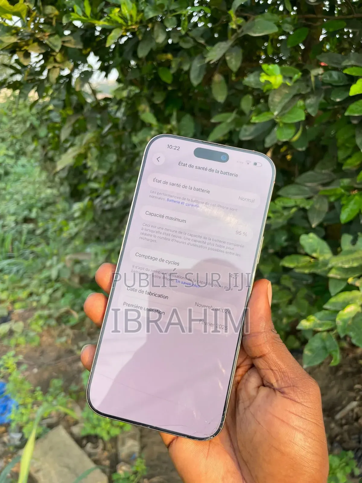 Apple iPhone 16 Pro Max 256 GB Autre