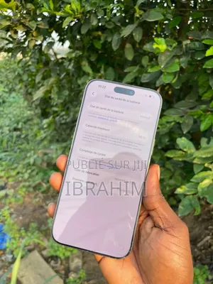 Apple iPhone 16 Pro Max 256 GB Autre