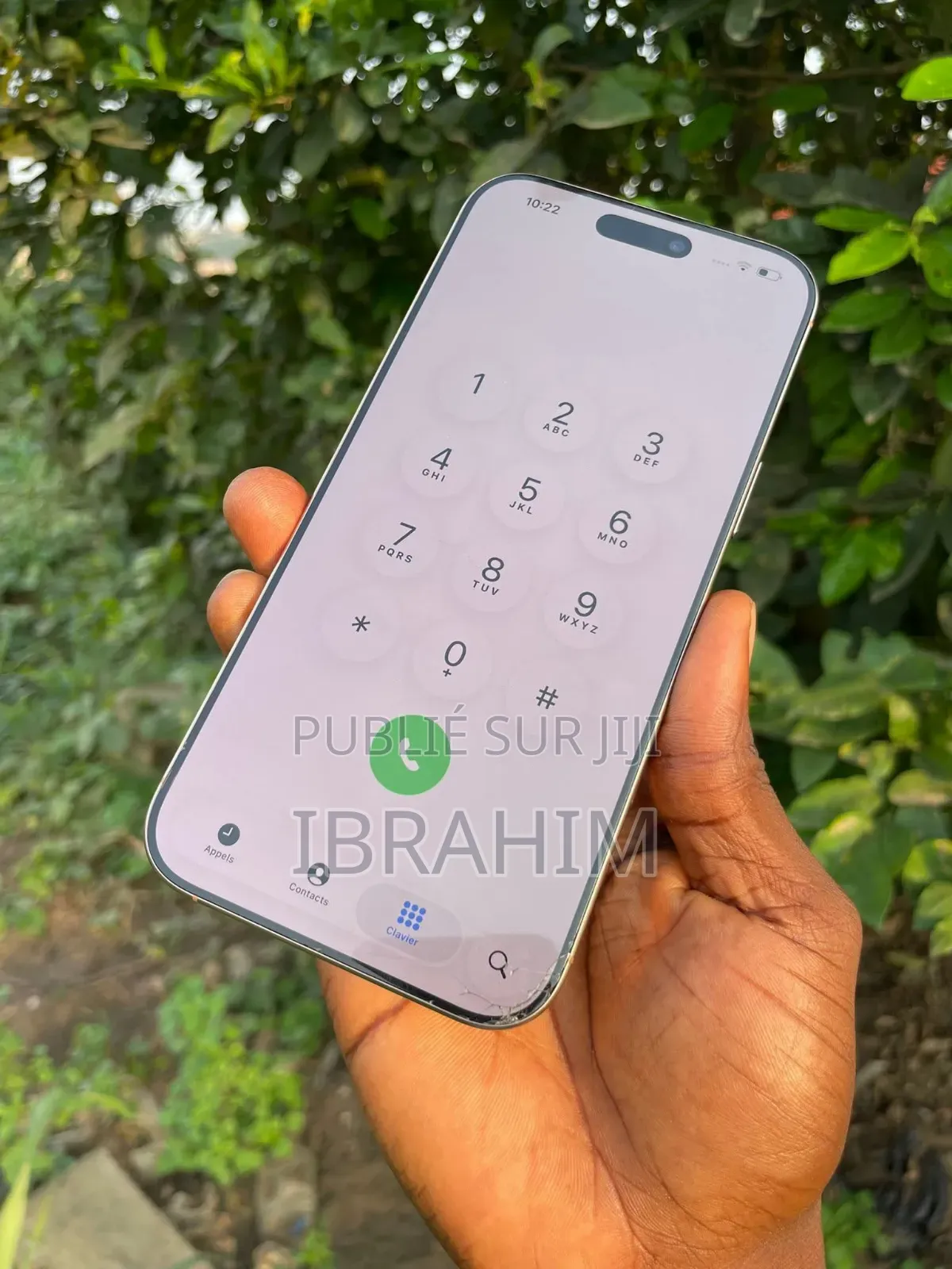 Apple iPhone 16 Pro Max 256 GB Autre