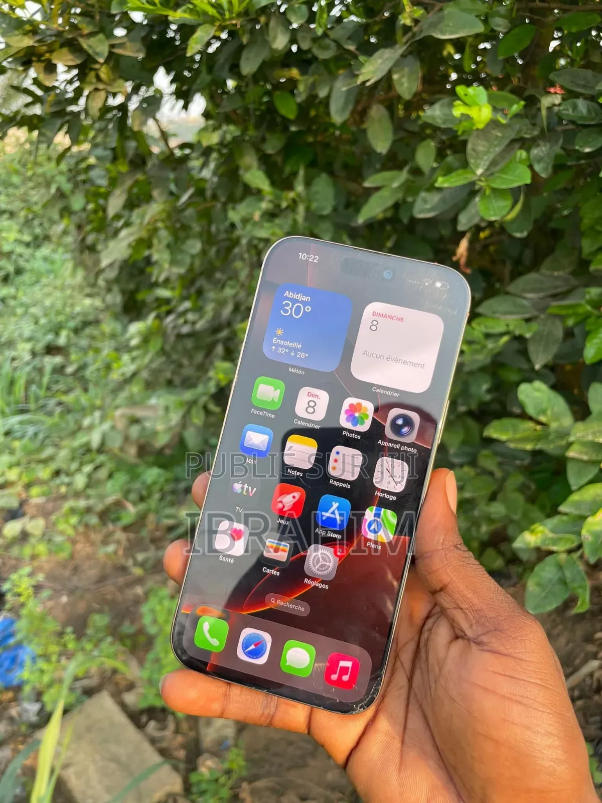 Apple iPhone 16 Pro Max 256 GB Autre