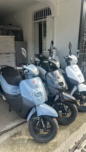 Nouveau Haojin HJ250ZH-9E 2023 Argenté