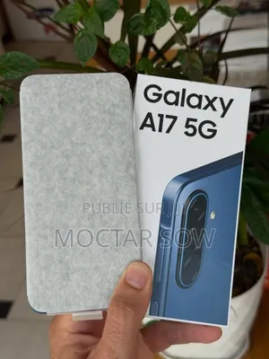 Nouveau Samsung Galaxy A17 5G 256 GB Autre