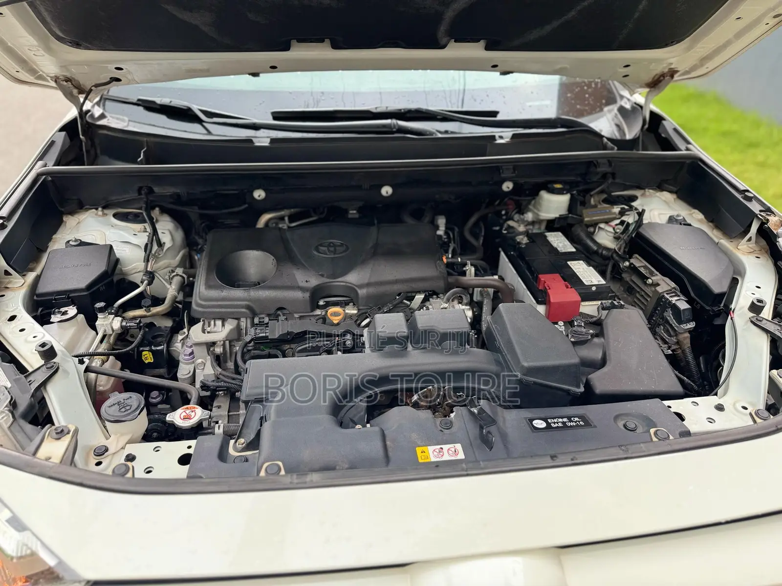 Toyota RAV4 XLE 2022 Blanc