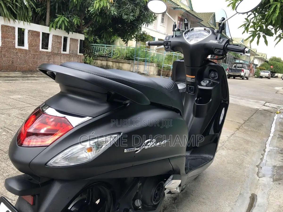 Nouveau Cushman Autre 2023 Noir